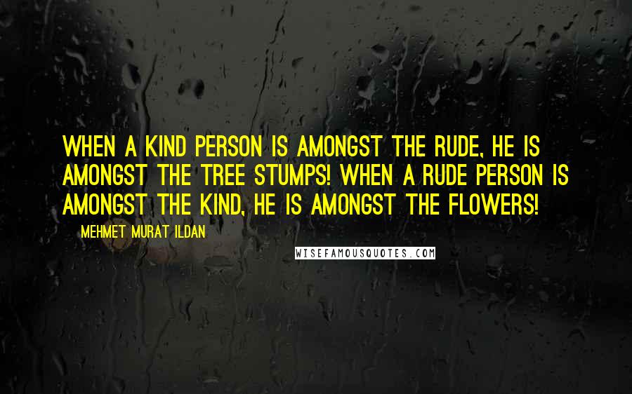 Mehmet Murat Ildan Quotes: When a kind person is amongst the rude, he is amongst the tree stumps! When a rude person is amongst the kind, he is amongst the flowers!
