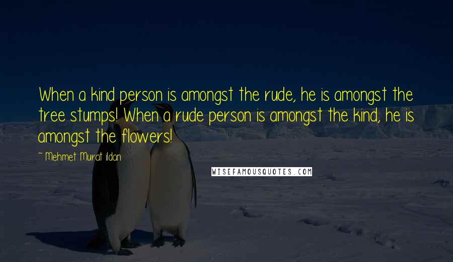 Mehmet Murat Ildan Quotes: When a kind person is amongst the rude, he is amongst the tree stumps! When a rude person is amongst the kind, he is amongst the flowers!
