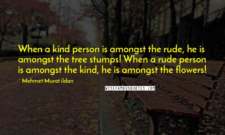 Mehmet Murat Ildan Quotes: When a kind person is amongst the rude, he is amongst the tree stumps! When a rude person is amongst the kind, he is amongst the flowers!