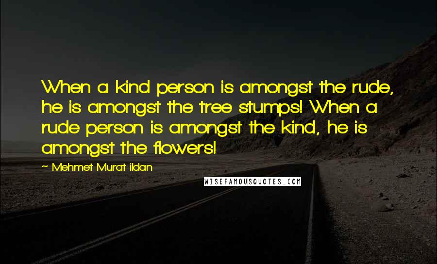 Mehmet Murat Ildan Quotes: When a kind person is amongst the rude, he is amongst the tree stumps! When a rude person is amongst the kind, he is amongst the flowers!