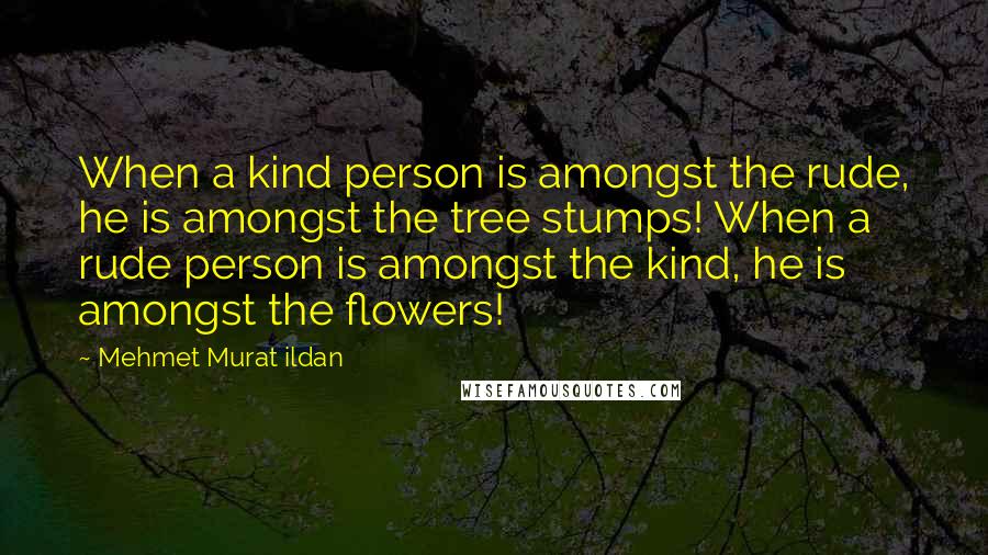 Mehmet Murat Ildan Quotes: When a kind person is amongst the rude, he is amongst the tree stumps! When a rude person is amongst the kind, he is amongst the flowers!