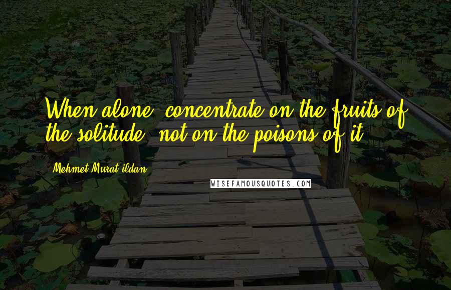 Mehmet Murat Ildan Quotes: When alone, concentrate on the fruits of the solitude, not on the poisons of it!