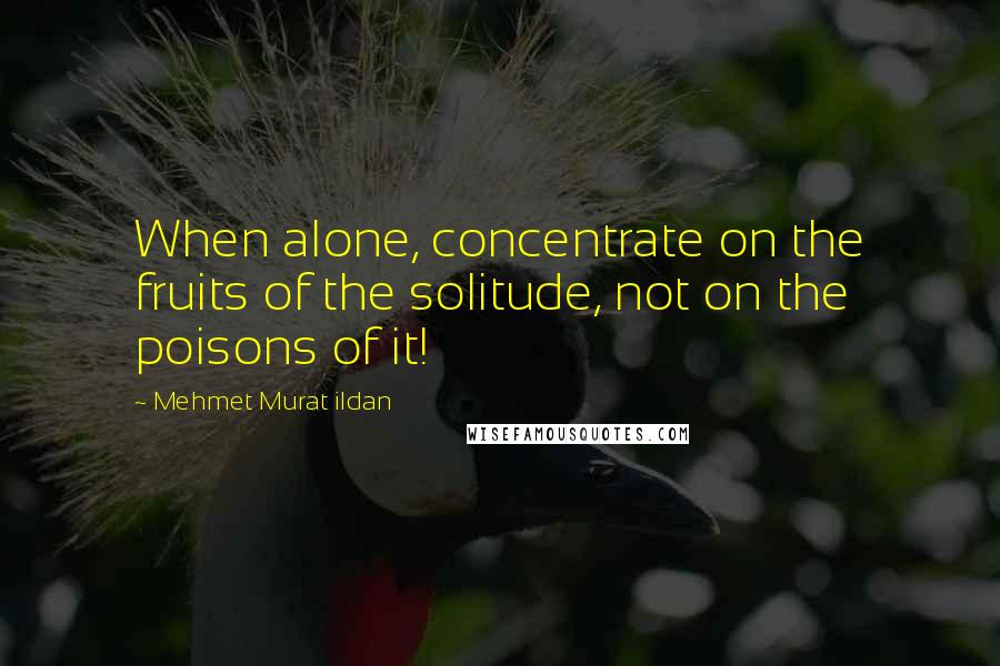 Mehmet Murat Ildan Quotes: When alone, concentrate on the fruits of the solitude, not on the poisons of it!