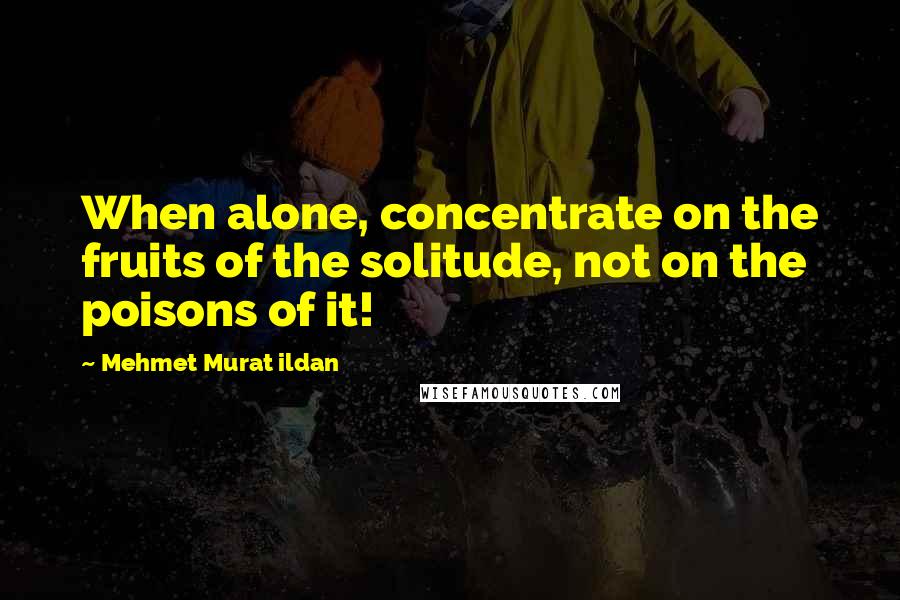 Mehmet Murat Ildan Quotes: When alone, concentrate on the fruits of the solitude, not on the poisons of it!