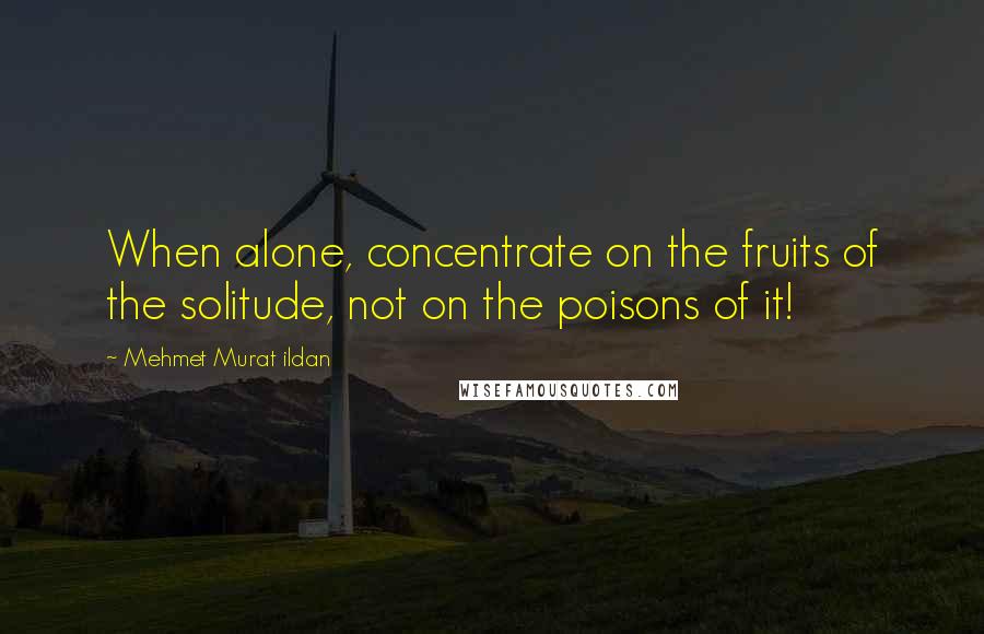 Mehmet Murat Ildan Quotes: When alone, concentrate on the fruits of the solitude, not on the poisons of it!