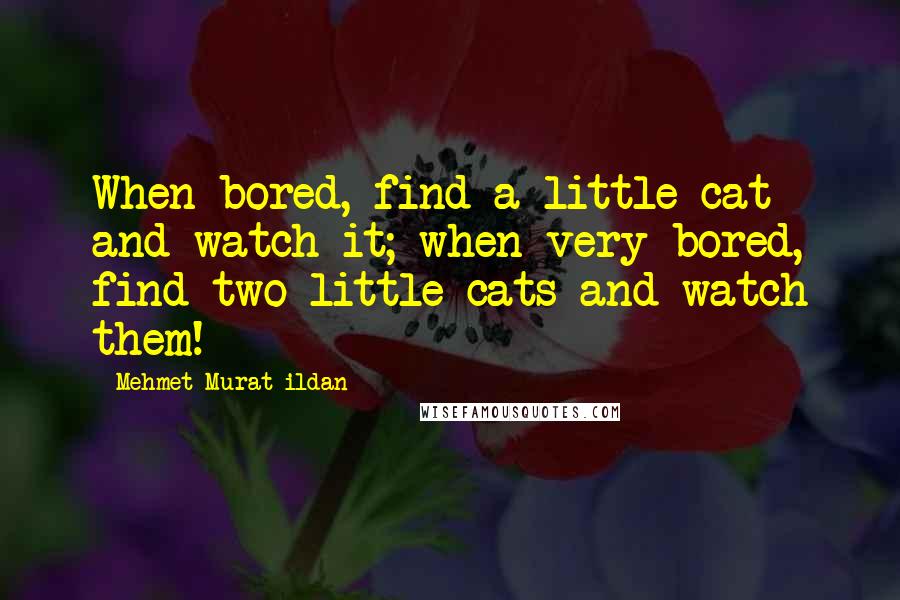 Mehmet Murat Ildan Quotes: When bored, find a little cat and watch it; when very bored, find two little cats and watch them!