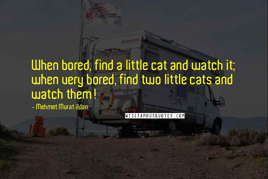 Mehmet Murat Ildan Quotes: When bored, find a little cat and watch it; when very bored, find two little cats and watch them!