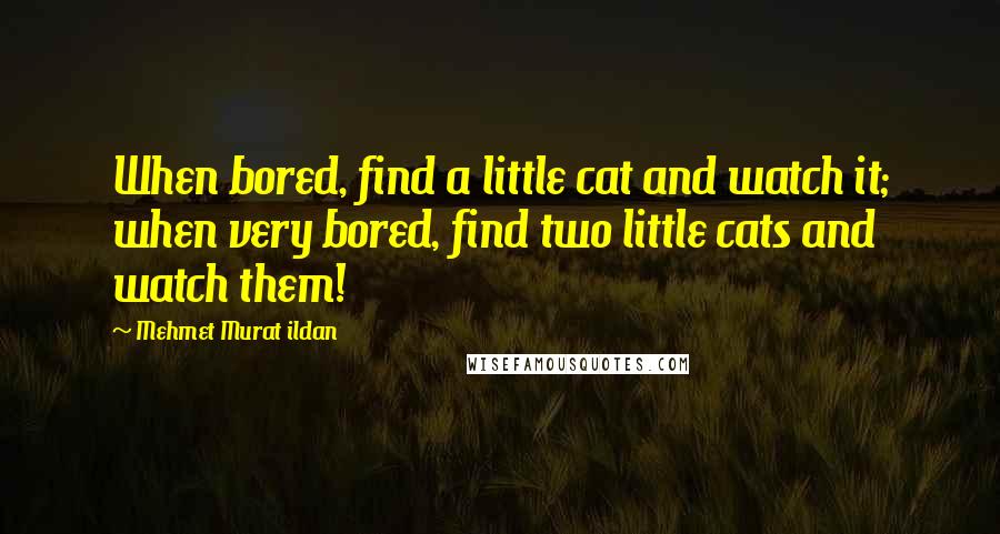 Mehmet Murat Ildan Quotes: When bored, find a little cat and watch it; when very bored, find two little cats and watch them!