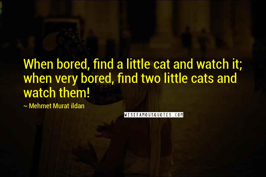 Mehmet Murat Ildan Quotes: When bored, find a little cat and watch it; when very bored, find two little cats and watch them!