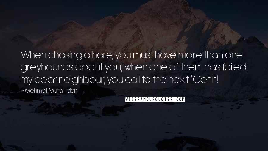 Mehmet Murat Ildan Quotes: When chasing a hare, you must have more than one greyhounds about you; when one of them has failed, my dear neighbour, you call to the next 'Get it!