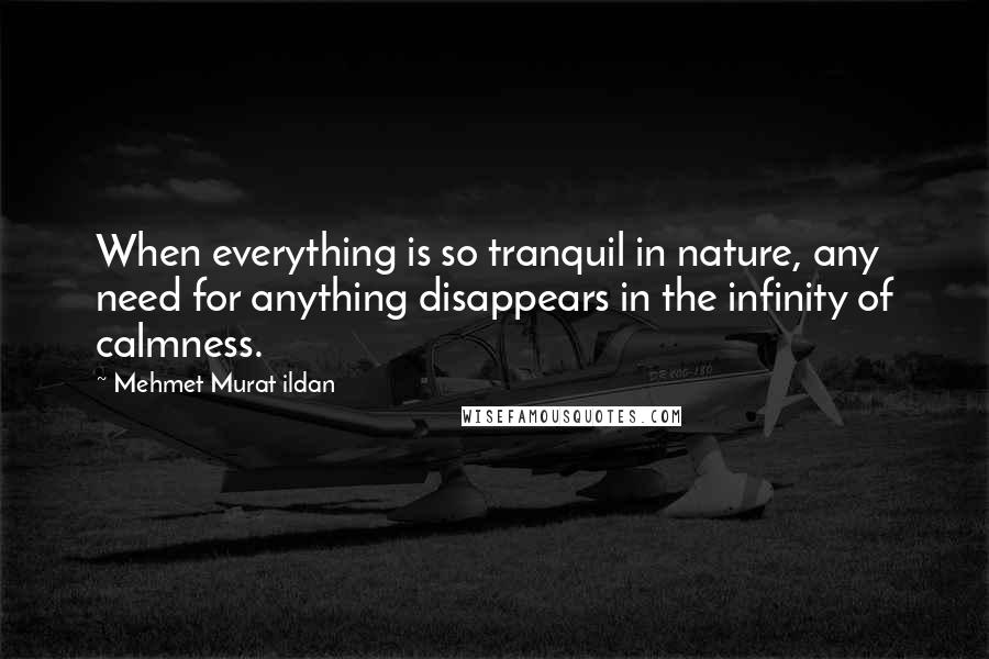 Mehmet Murat Ildan Quotes: When everything is so tranquil in nature, any need for anything disappears in the infinity of calmness.