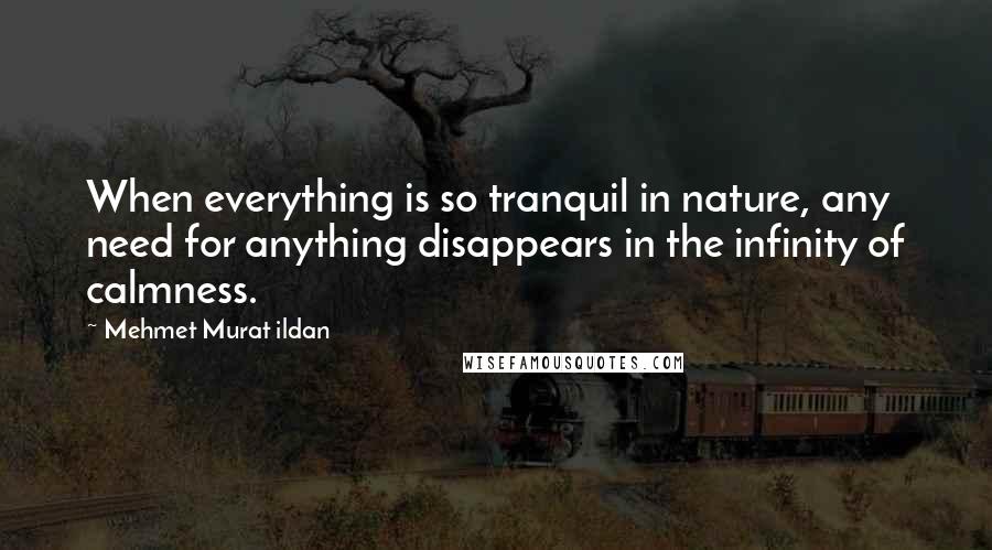 Mehmet Murat Ildan Quotes: When everything is so tranquil in nature, any need for anything disappears in the infinity of calmness.