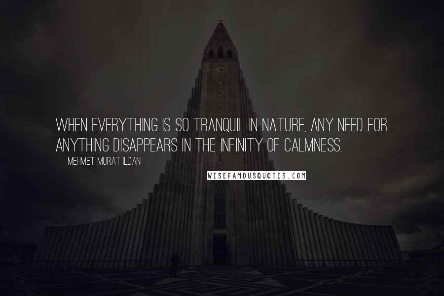 Mehmet Murat Ildan Quotes: When everything is so tranquil in nature, any need for anything disappears in the infinity of calmness.