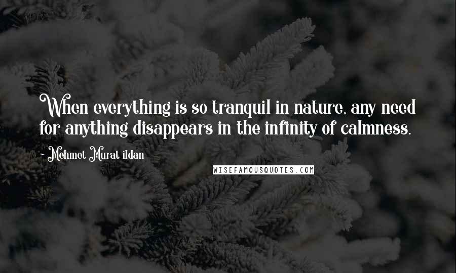 Mehmet Murat Ildan Quotes: When everything is so tranquil in nature, any need for anything disappears in the infinity of calmness.