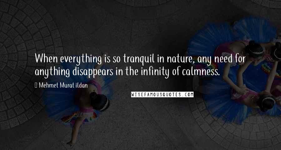 Mehmet Murat Ildan Quotes: When everything is so tranquil in nature, any need for anything disappears in the infinity of calmness.