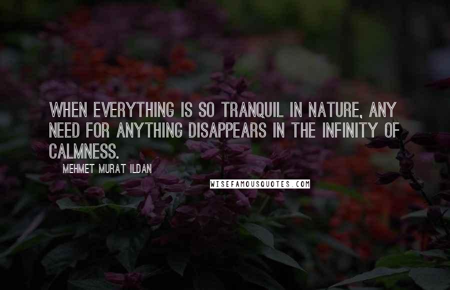 Mehmet Murat Ildan Quotes: When everything is so tranquil in nature, any need for anything disappears in the infinity of calmness.