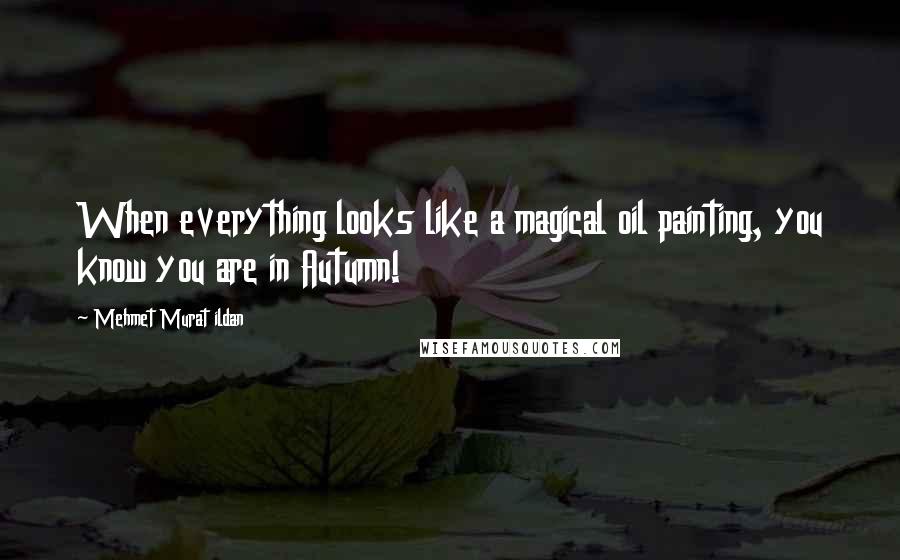 Mehmet Murat Ildan Quotes: When everything looks like a magical oil painting, you know you are in Autumn!