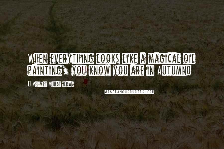 Mehmet Murat Ildan Quotes: When everything looks like a magical oil painting, you know you are in Autumn!