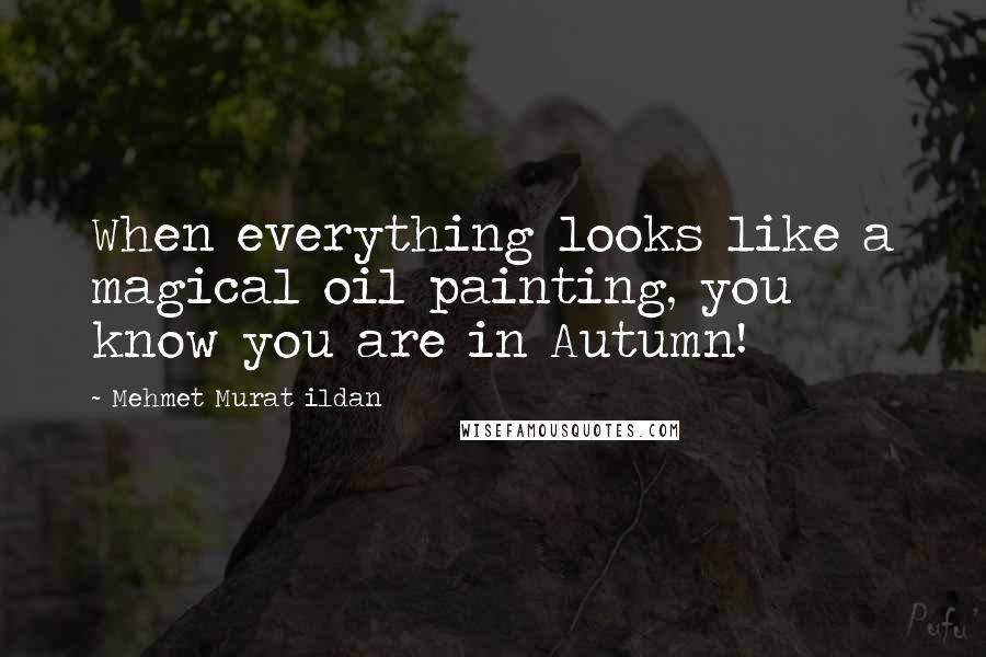 Mehmet Murat Ildan Quotes: When everything looks like a magical oil painting, you know you are in Autumn!