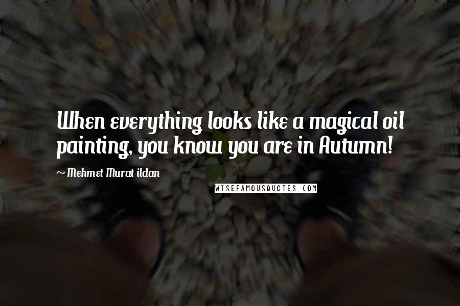 Mehmet Murat Ildan Quotes: When everything looks like a magical oil painting, you know you are in Autumn!