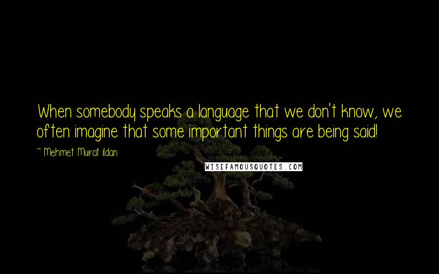 Mehmet Murat Ildan Quotes: When somebody speaks a language that we don't know, we often imagine that some important things are being said!