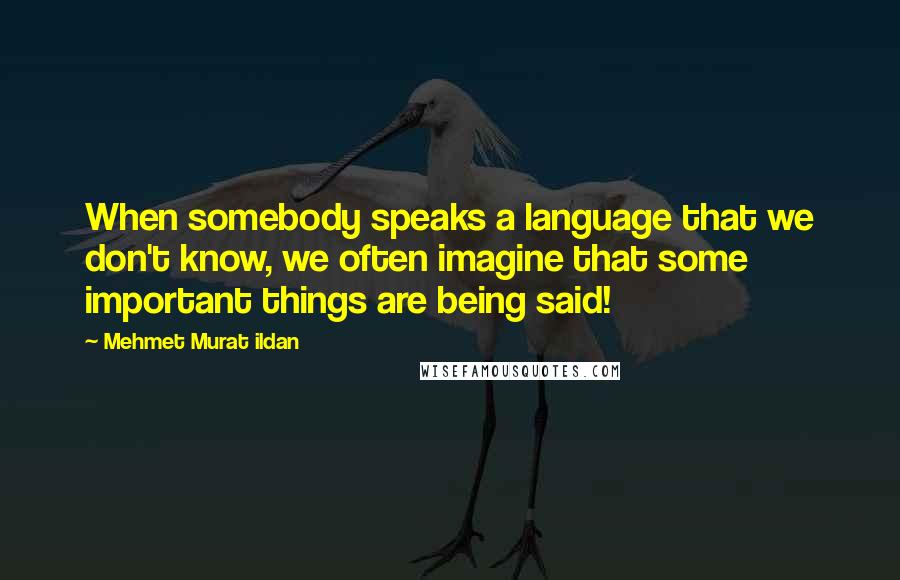 Mehmet Murat Ildan Quotes: When somebody speaks a language that we don't know, we often imagine that some important things are being said!