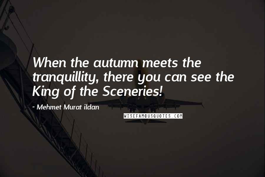 Mehmet Murat Ildan Quotes: When the autumn meets the tranquillity, there you can see the King of the Sceneries!
