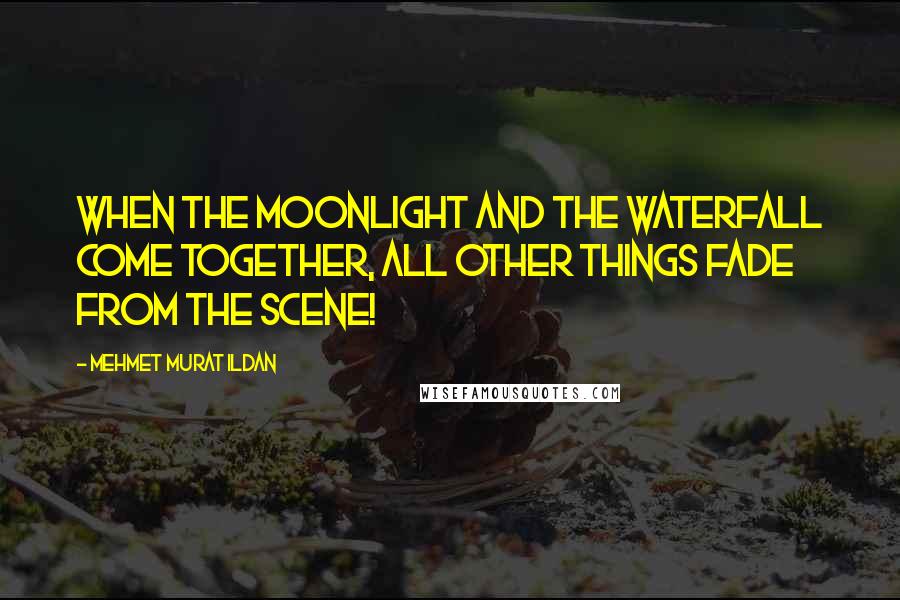 Mehmet Murat Ildan Quotes: When the moonlight and the waterfall come together, all other things fade from the scene!