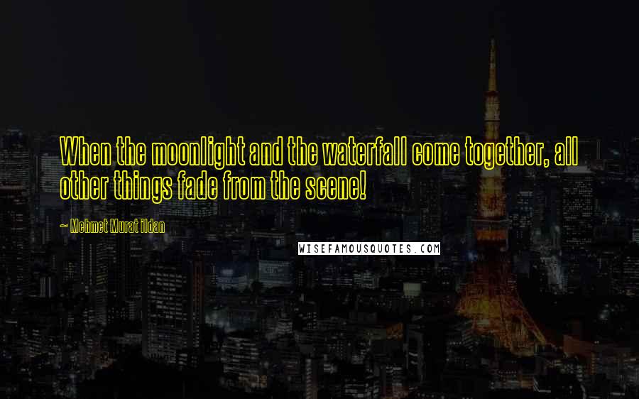 Mehmet Murat Ildan Quotes: When the moonlight and the waterfall come together, all other things fade from the scene!
