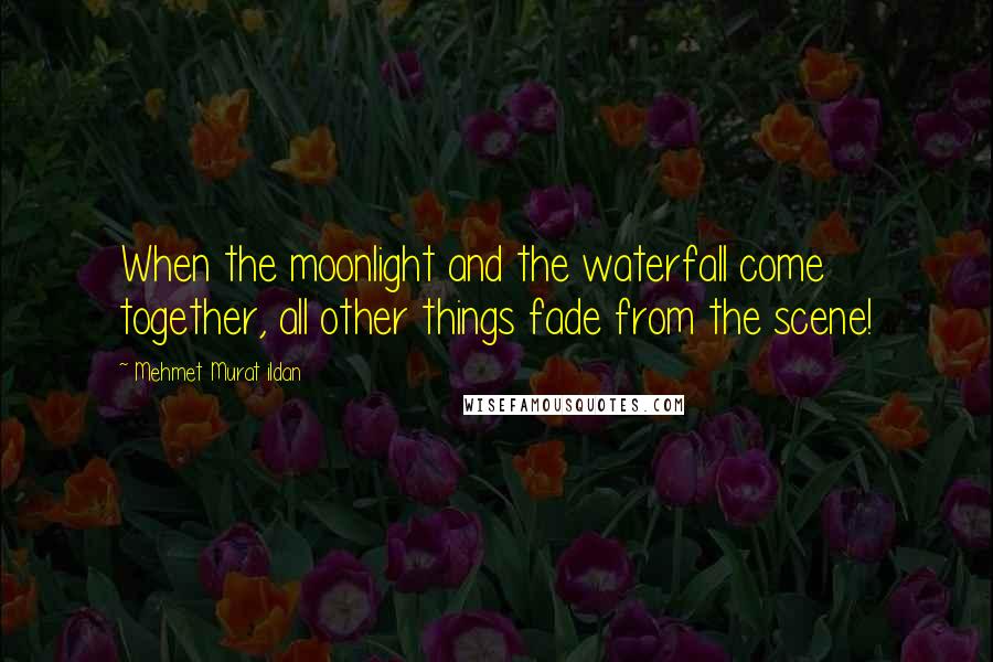 Mehmet Murat Ildan Quotes: When the moonlight and the waterfall come together, all other things fade from the scene!