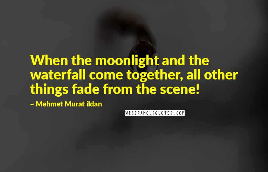 Mehmet Murat Ildan Quotes: When the moonlight and the waterfall come together, all other things fade from the scene!