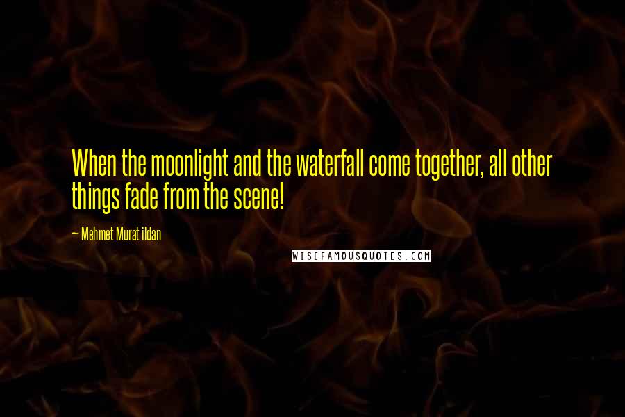 Mehmet Murat Ildan Quotes: When the moonlight and the waterfall come together, all other things fade from the scene!
