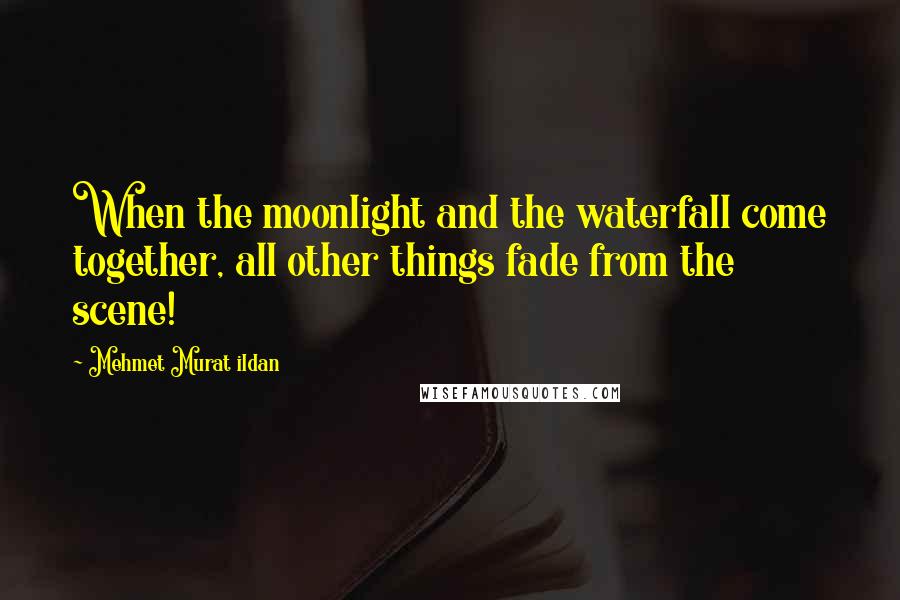 Mehmet Murat Ildan Quotes: When the moonlight and the waterfall come together, all other things fade from the scene!