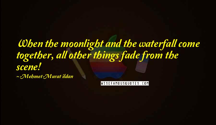 Mehmet Murat Ildan Quotes: When the moonlight and the waterfall come together, all other things fade from the scene!