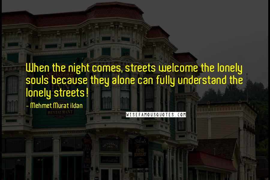 Mehmet Murat Ildan Quotes: When the night comes, streets welcome the lonely souls because they alone can fully understand the lonely streets!