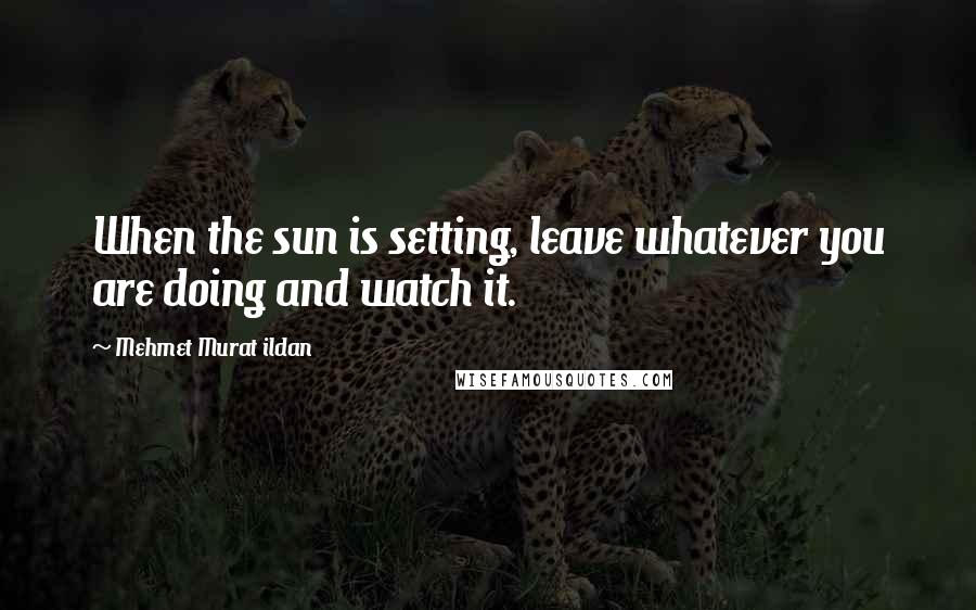 Mehmet Murat Ildan Quotes: When the sun is setting, leave whatever you are doing and watch it.