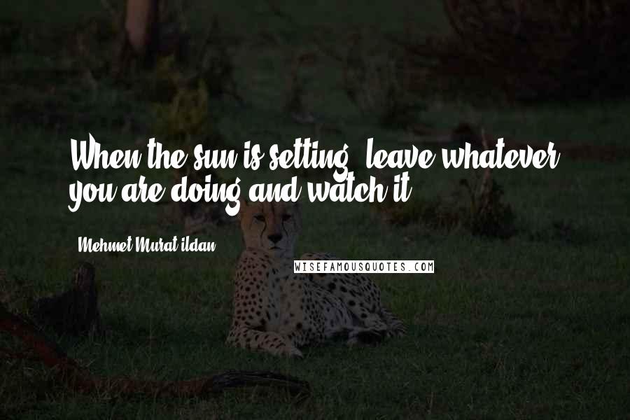 Mehmet Murat Ildan Quotes: When the sun is setting, leave whatever you are doing and watch it.