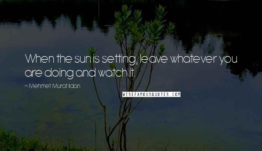 Mehmet Murat Ildan Quotes: When the sun is setting, leave whatever you are doing and watch it.