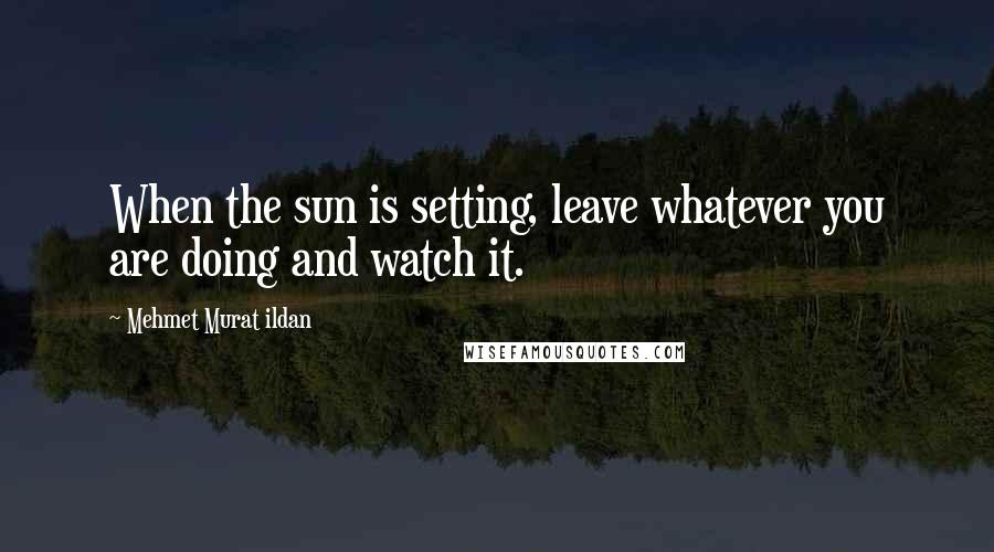 Mehmet Murat Ildan Quotes: When the sun is setting, leave whatever you are doing and watch it.