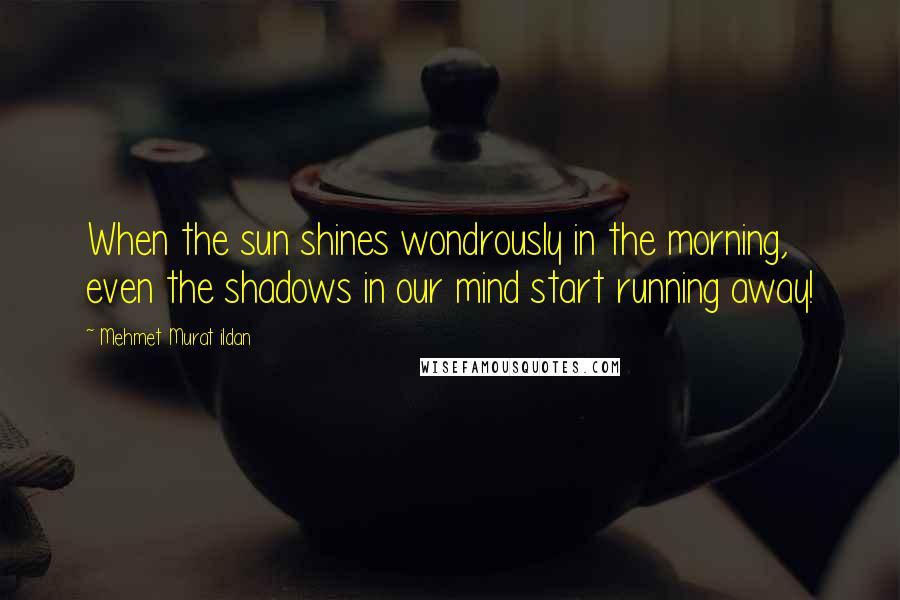 Mehmet Murat Ildan Quotes: When the sun shines wondrously in the morning, even the shadows in our mind start running away!