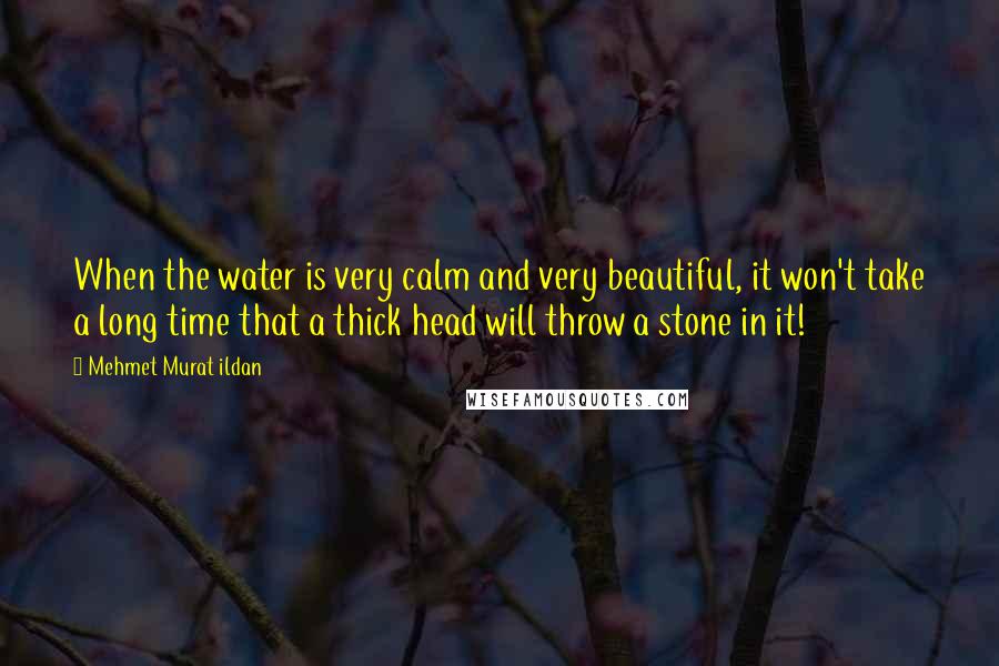 Mehmet Murat Ildan Quotes: When the water is very calm and very beautiful, it won't take a long time that a thick head will throw a stone in it!