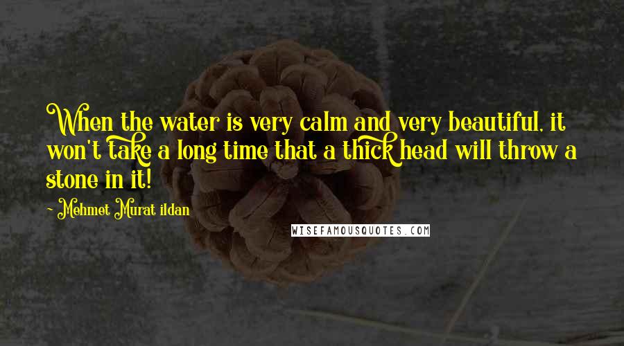 Mehmet Murat Ildan Quotes: When the water is very calm and very beautiful, it won't take a long time that a thick head will throw a stone in it!