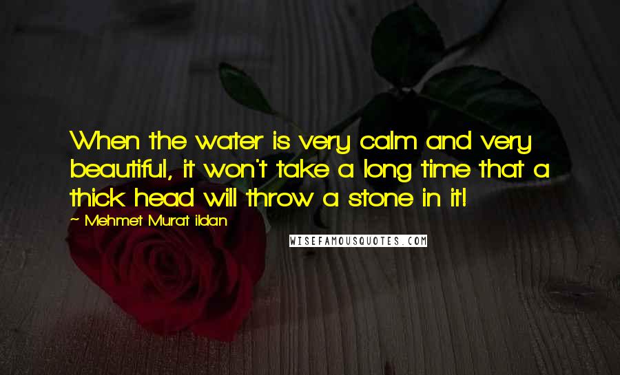 Mehmet Murat Ildan Quotes: When the water is very calm and very beautiful, it won't take a long time that a thick head will throw a stone in it!