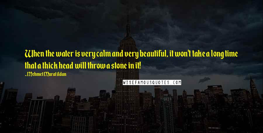 Mehmet Murat Ildan Quotes: When the water is very calm and very beautiful, it won't take a long time that a thick head will throw a stone in it!