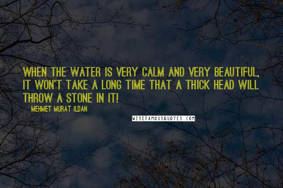 Mehmet Murat Ildan Quotes: When the water is very calm and very beautiful, it won't take a long time that a thick head will throw a stone in it!