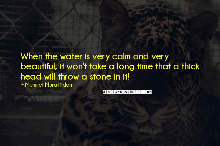 Mehmet Murat Ildan Quotes: When the water is very calm and very beautiful, it won't take a long time that a thick head will throw a stone in it!