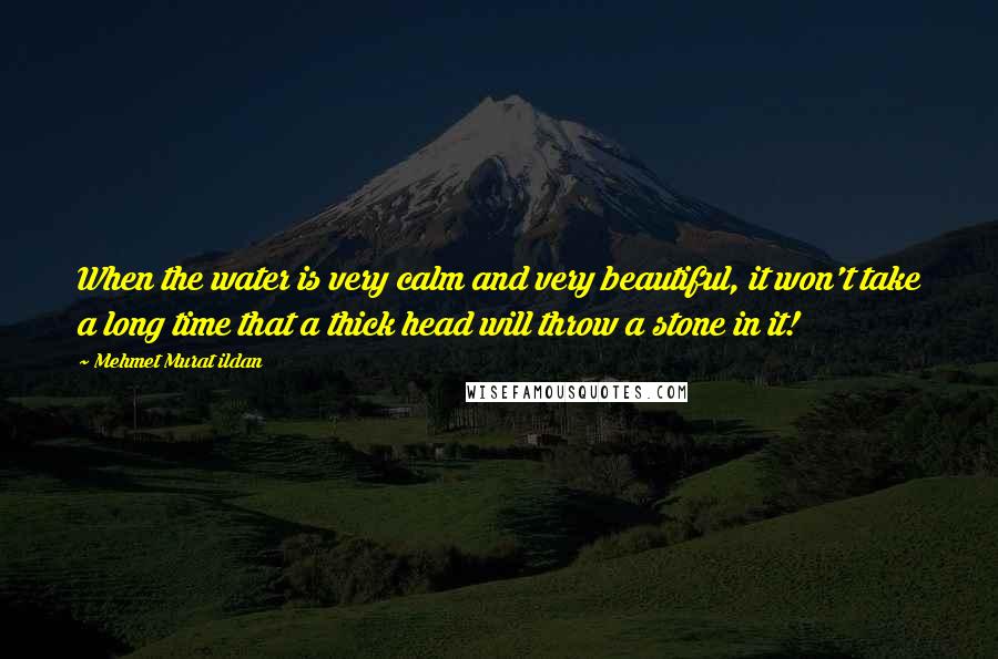 Mehmet Murat Ildan Quotes: When the water is very calm and very beautiful, it won't take a long time that a thick head will throw a stone in it!