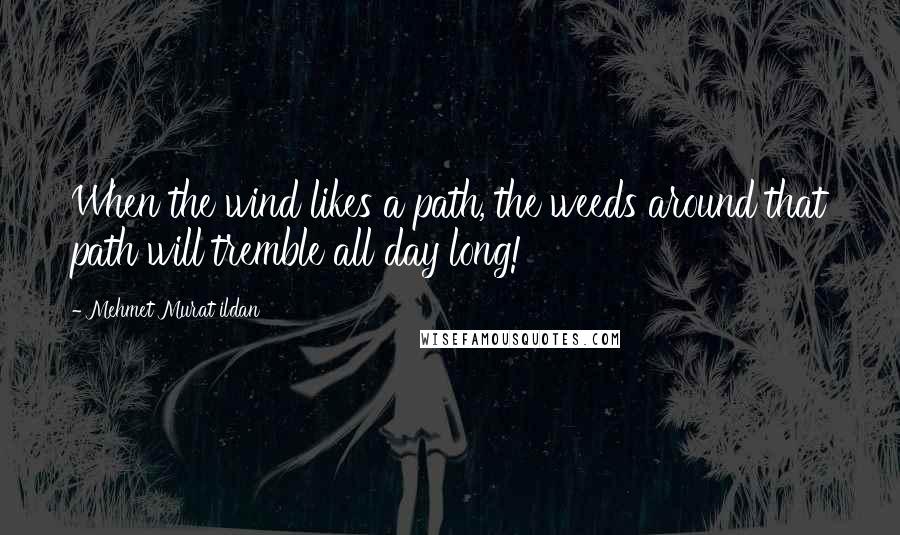 Mehmet Murat Ildan Quotes: When the wind likes a path, the weeds around that path will tremble all day long!