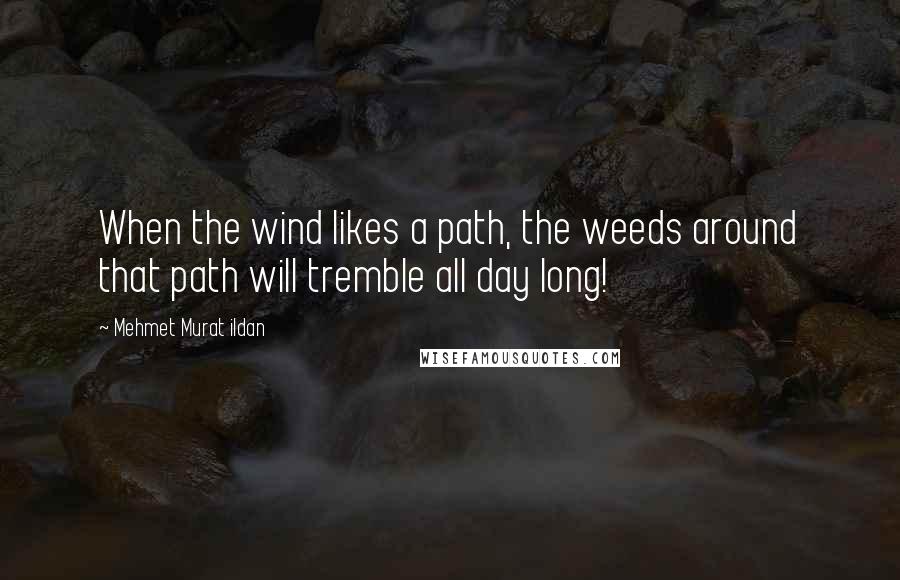 Mehmet Murat Ildan Quotes: When the wind likes a path, the weeds around that path will tremble all day long!