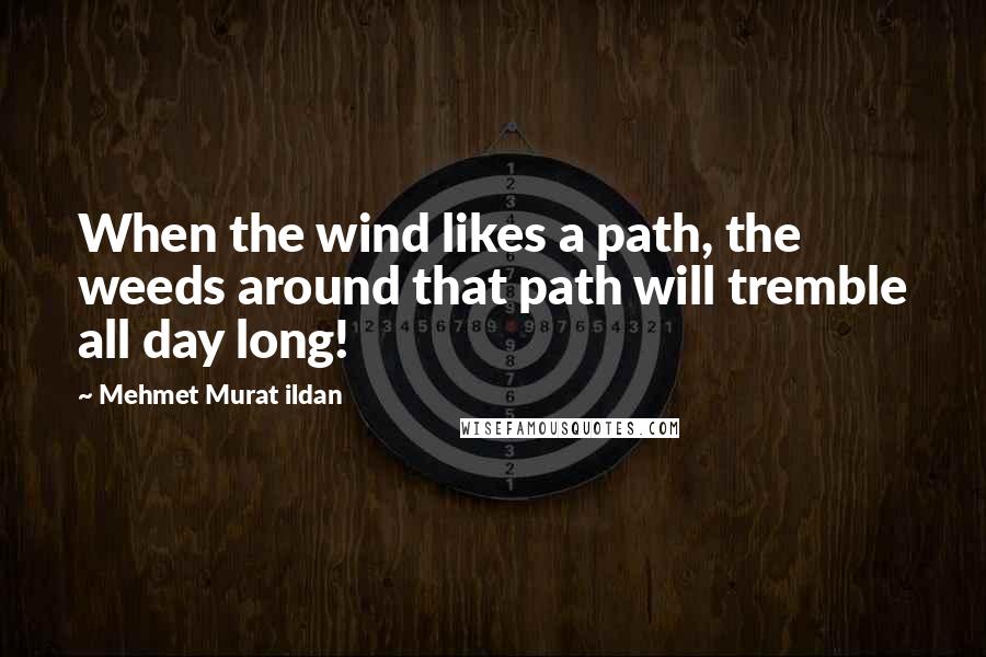 Mehmet Murat Ildan Quotes: When the wind likes a path, the weeds around that path will tremble all day long!